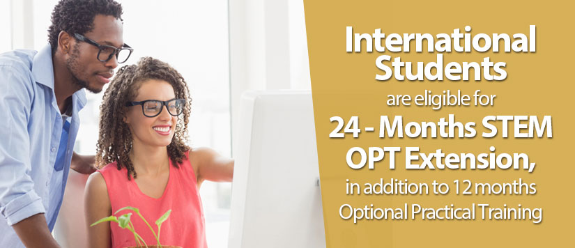 17 month Steam OPT Extension stem-opt-extension